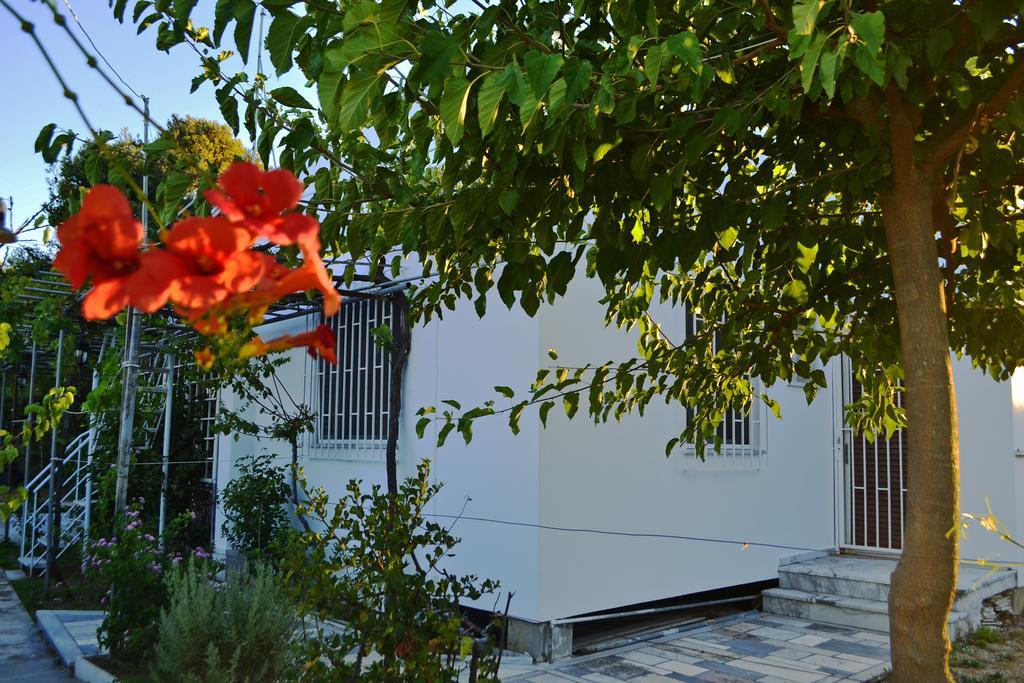 Sunset House Ξενοδοχείο Αρτέμιδα Εξωτερικό φωτογραφία