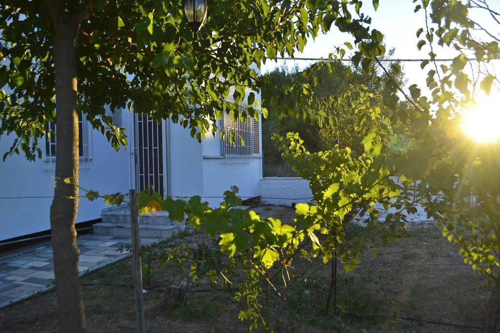 Sunset House Ξενοδοχείο Αρτέμιδα Εξωτερικό φωτογραφία